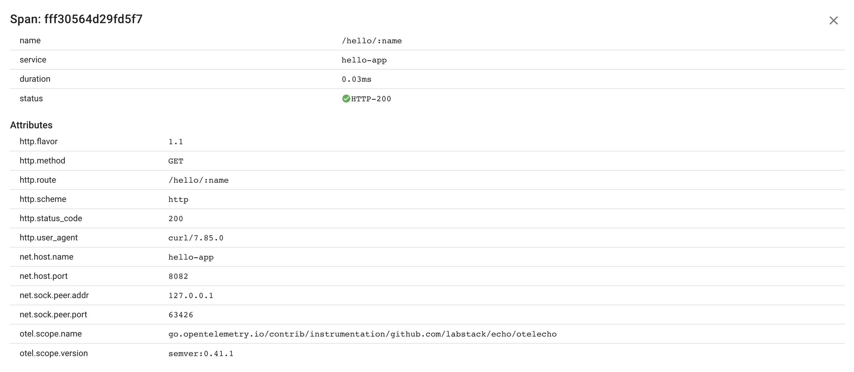 Go HTT Server Span Attributes