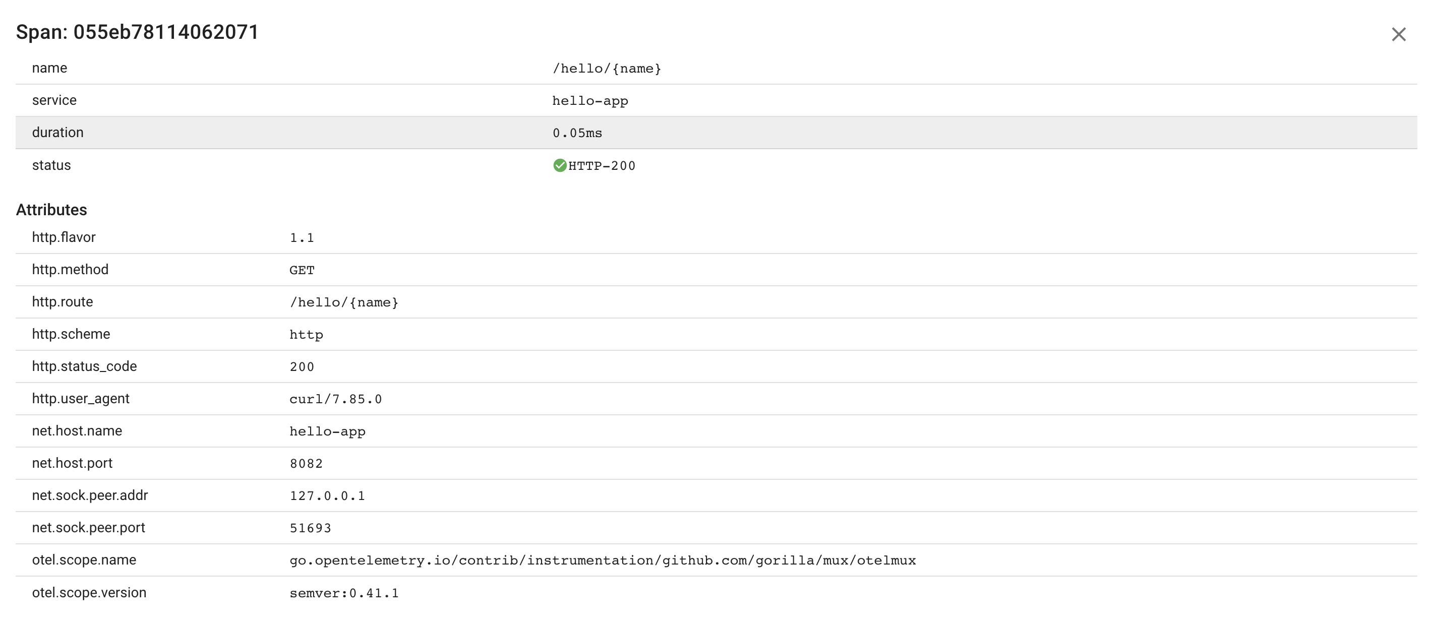 Go HTT Server Span Attributes