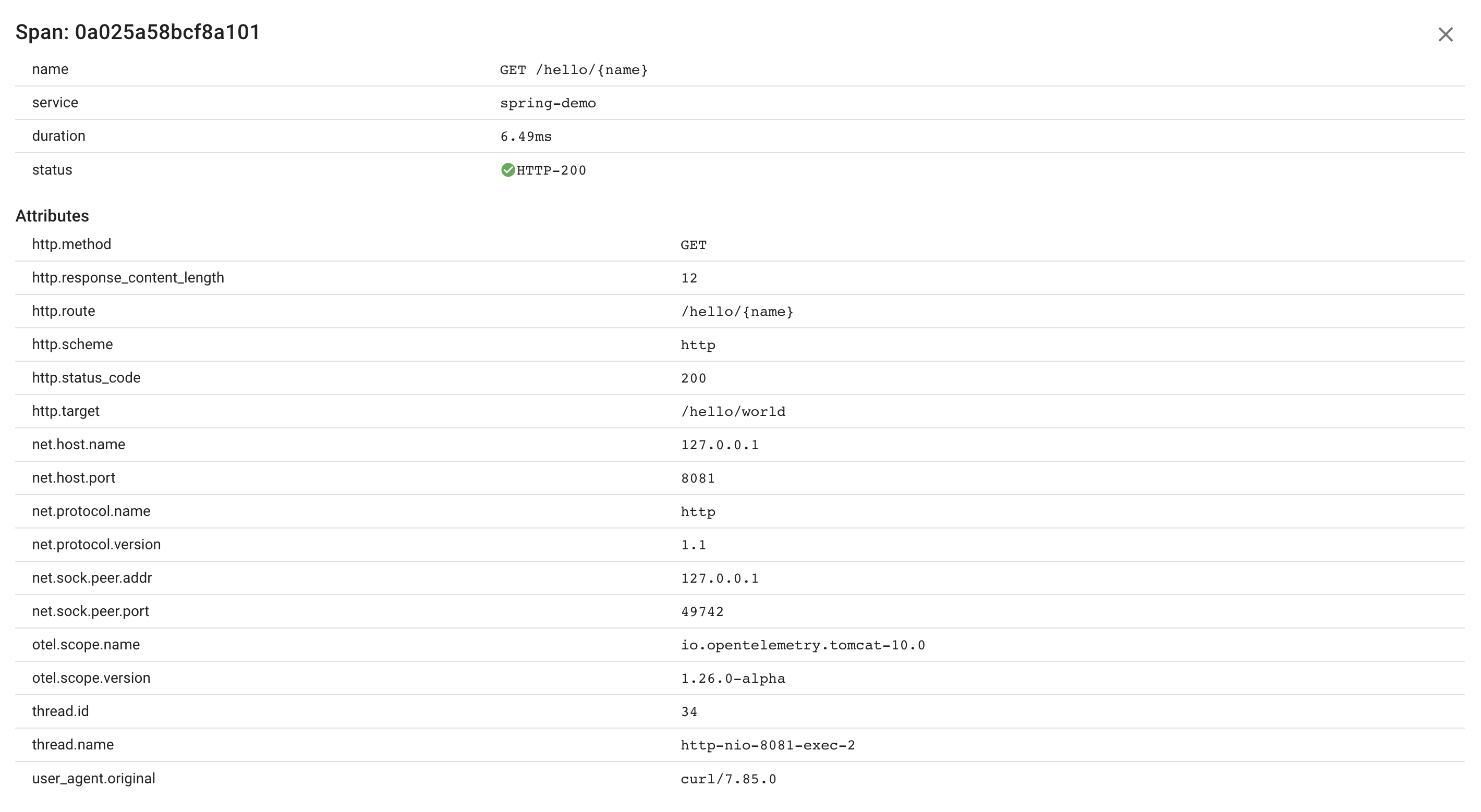 Java Server Span Attributes